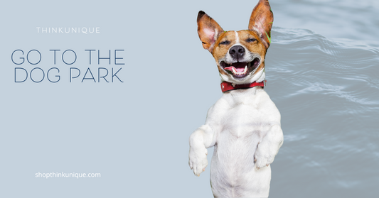 The Healing Power of the Dog Park: Why It’s Good for Your Mind (Even If You Don’t Have a Dog)