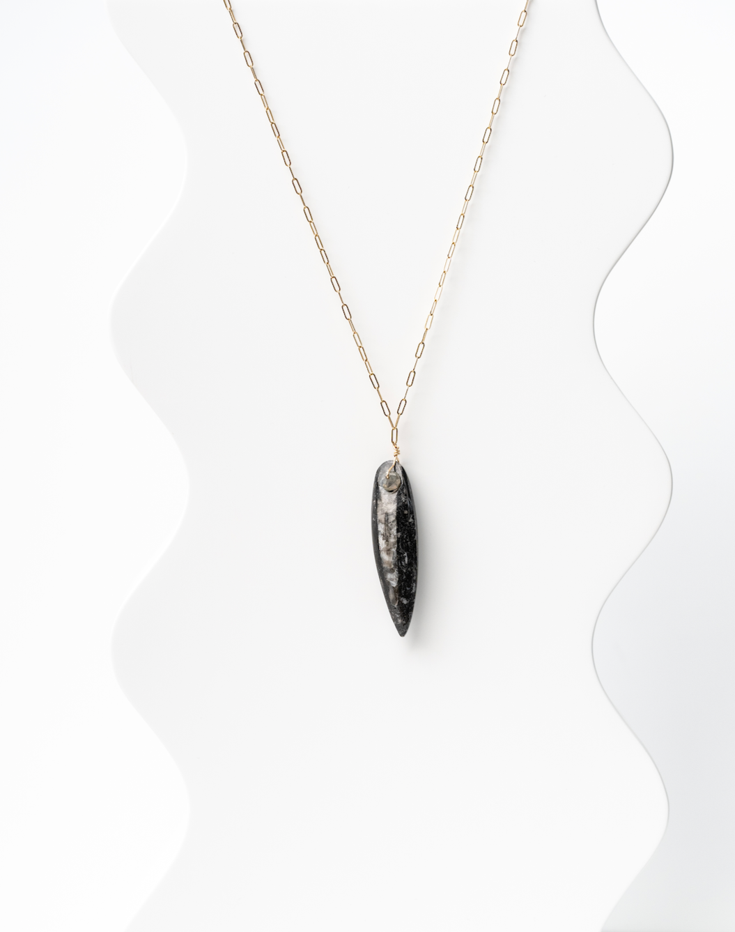 Unleash Ancient Elegance: Waterproof Orthoceras Fossil and Labradorite Necklace in 14K Gold Fill