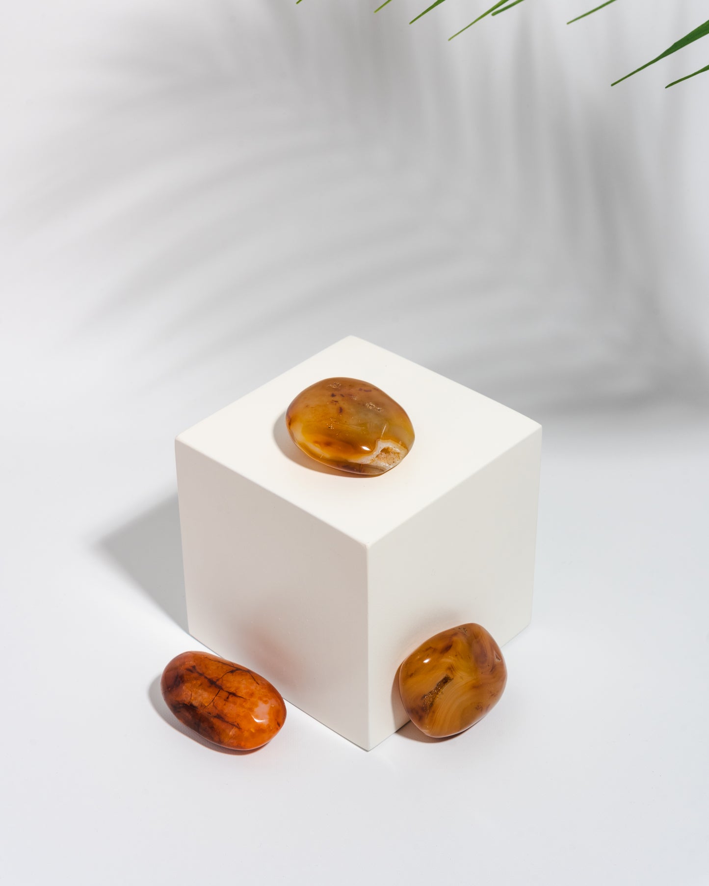 Carnelian Palm Stone