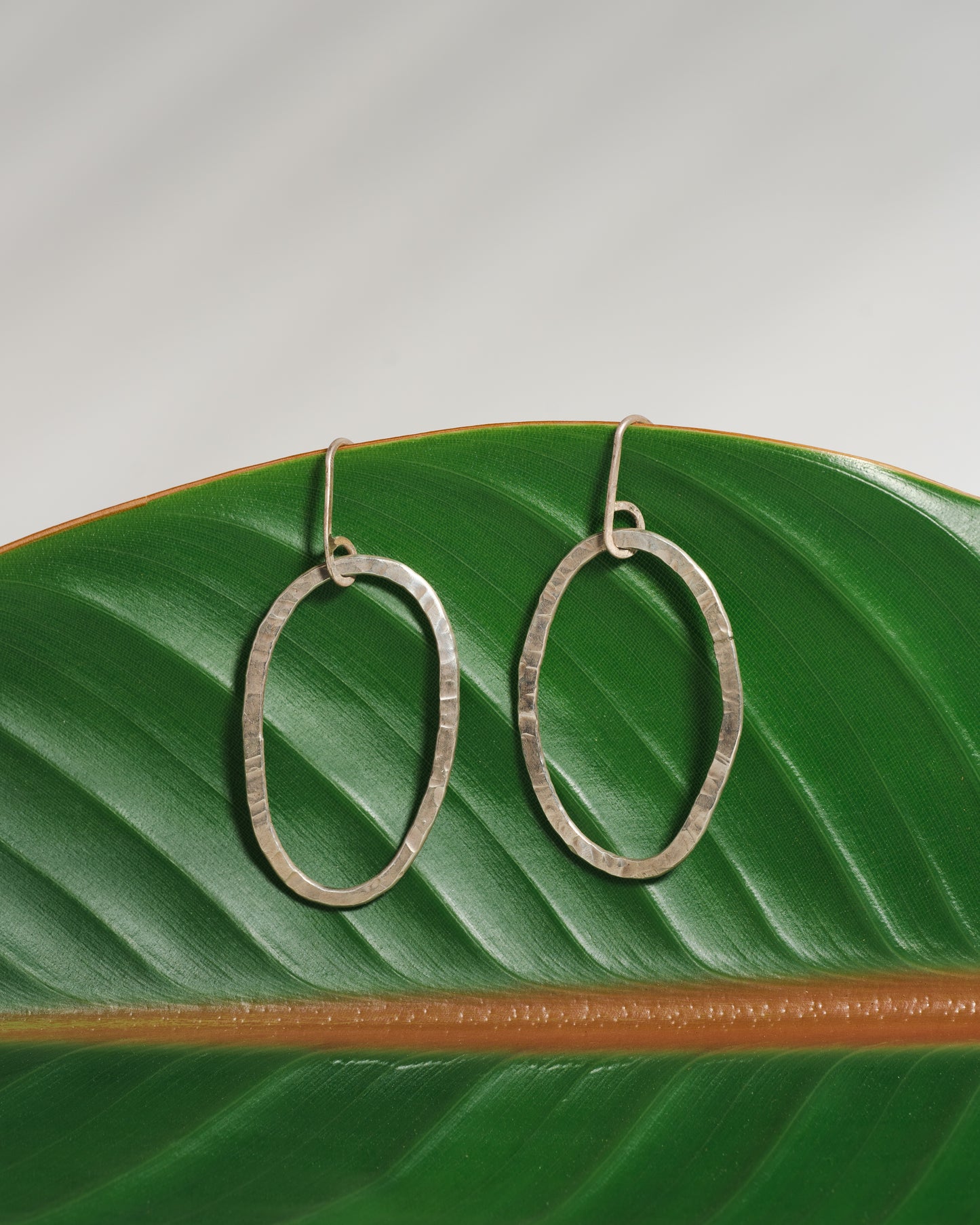 Sparkling Sterling Silver Organic Hoops (oval)