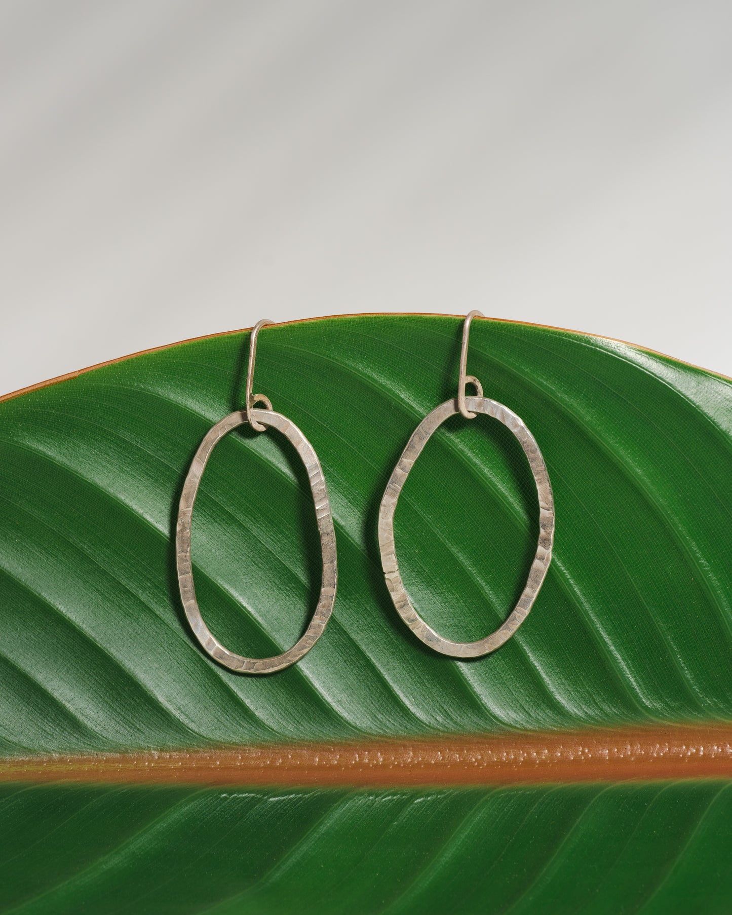 Sparkling Sterling Silver Organic Hoops (oval)